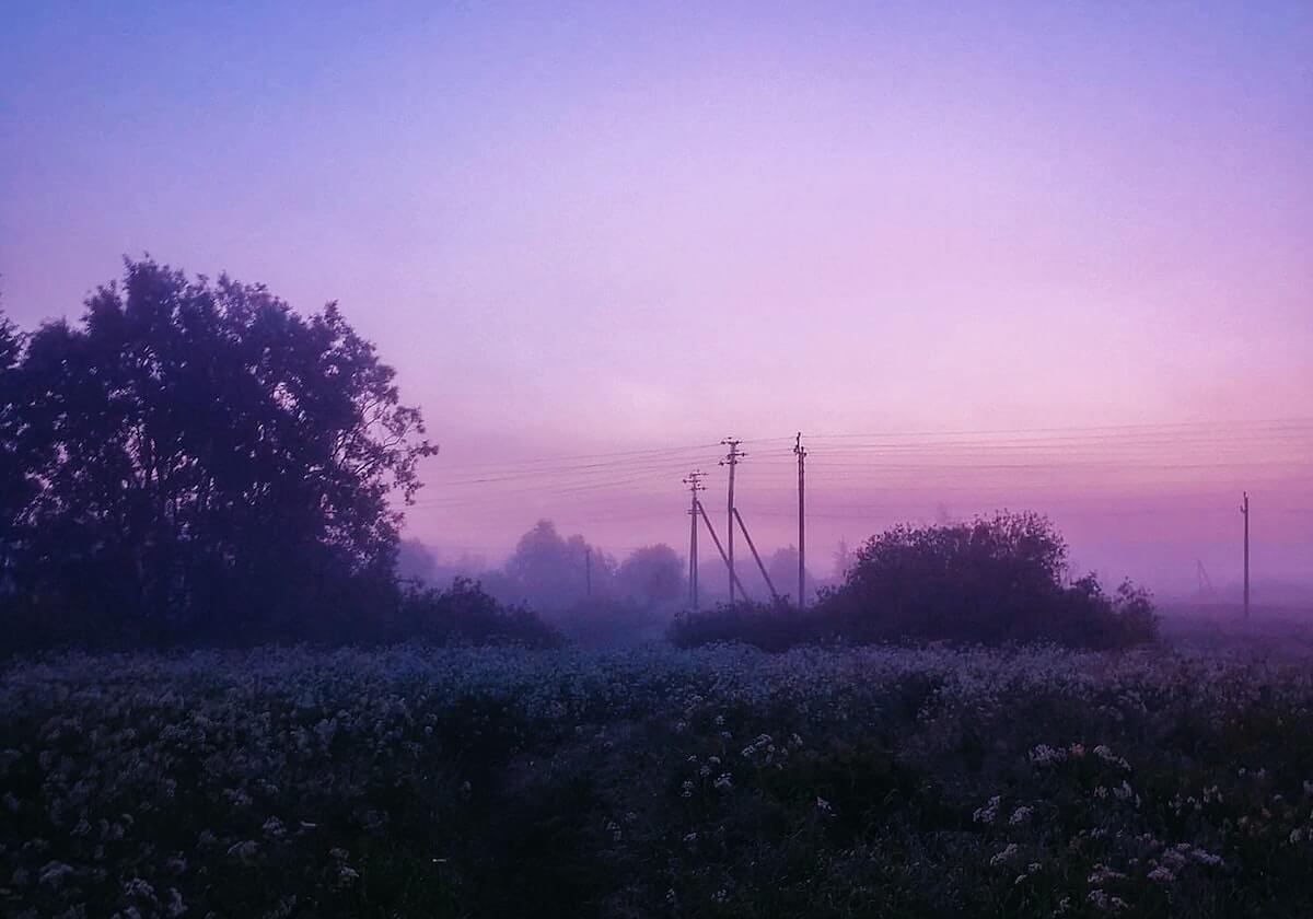 博鱼时代的海上拾光：用兴趣与信任织就生活的新航线