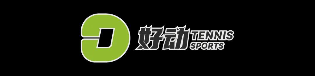 开云-蒙特卡洛决赛正面击败阿卡 辛纳重回世界第一 大师赛四连+生涯首个红土